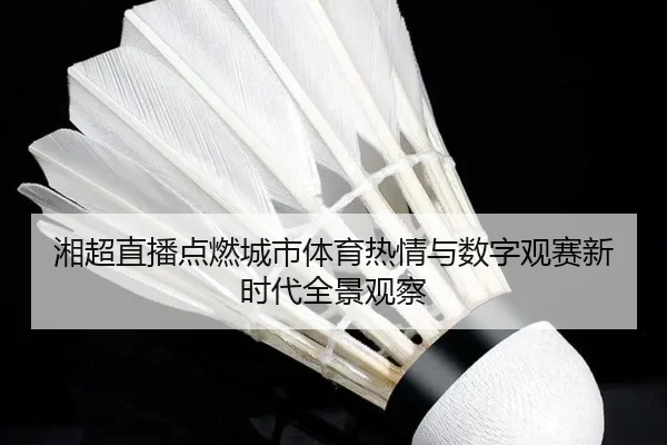 湘超直播点燃城市体育热情与数字观赛新时代全景观察
